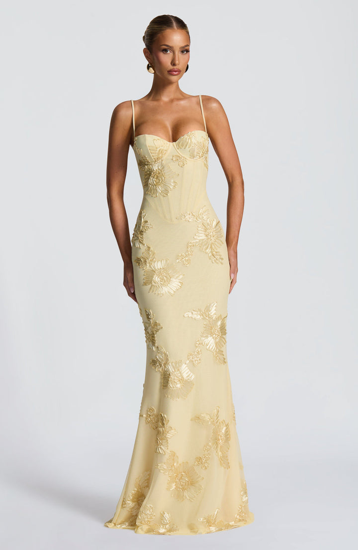 Florentine floral applique corset maxi gown