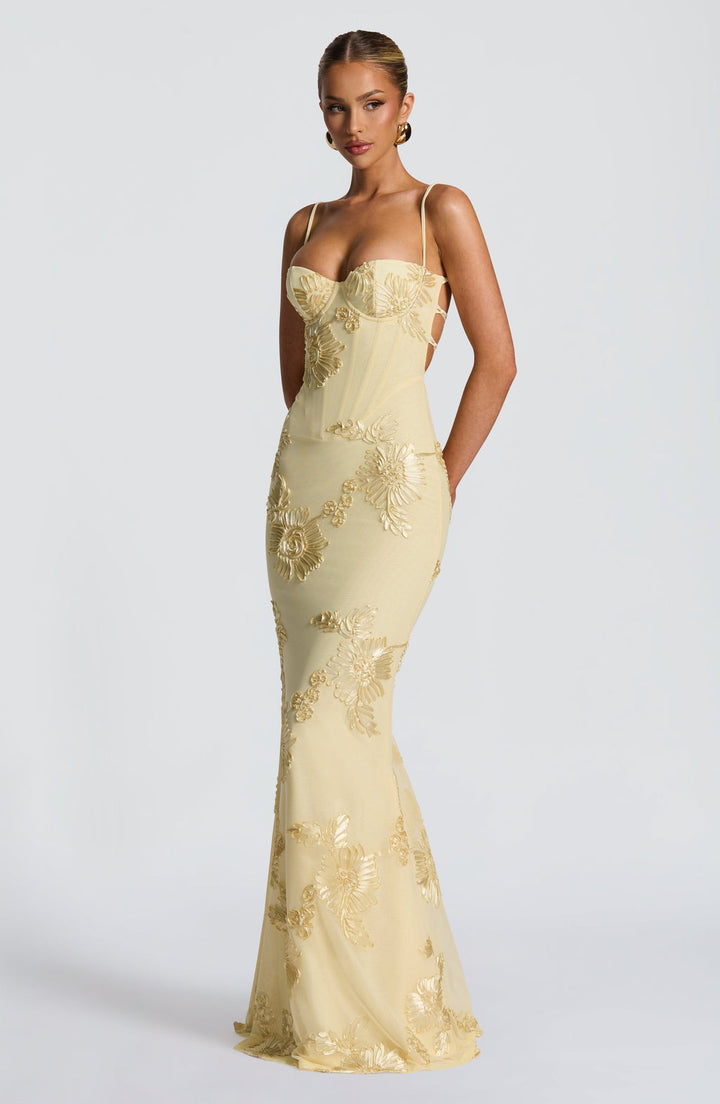 Florentine floral applique corset maxi gown – image 5