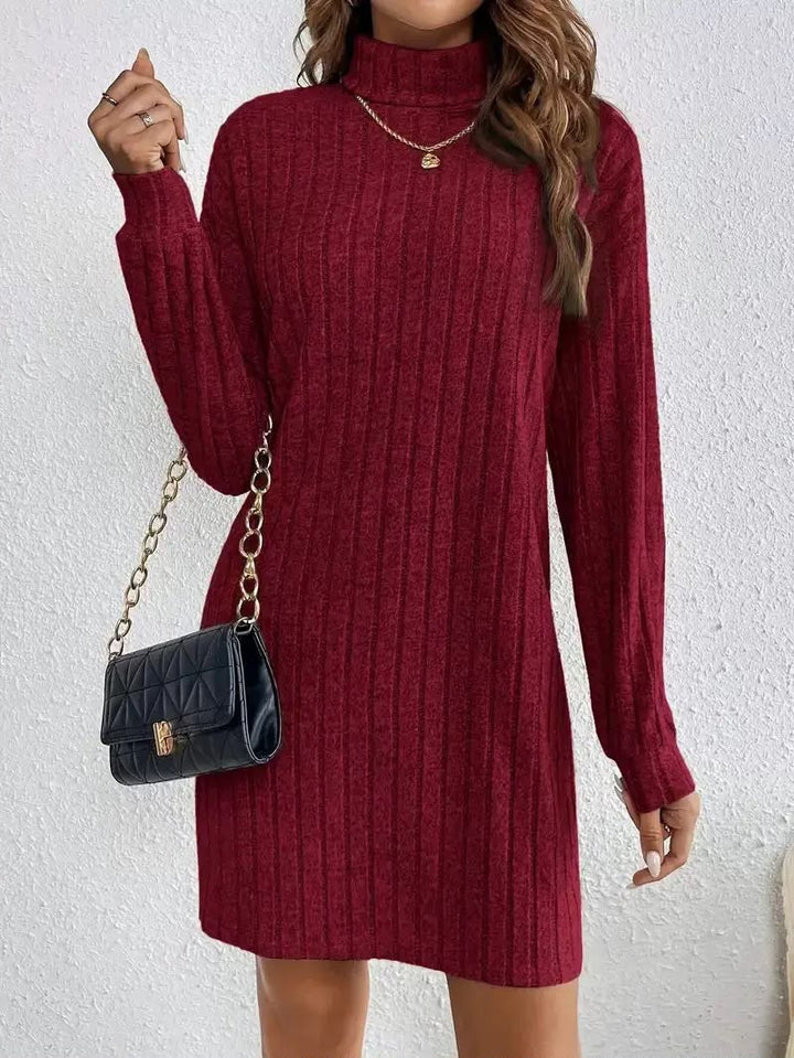 Fabienne Elegant Ribbed Roll Neck Knit Dress - image 8