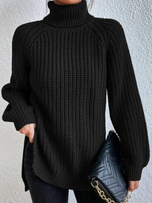 Sophia long sleeve roll neck jumper