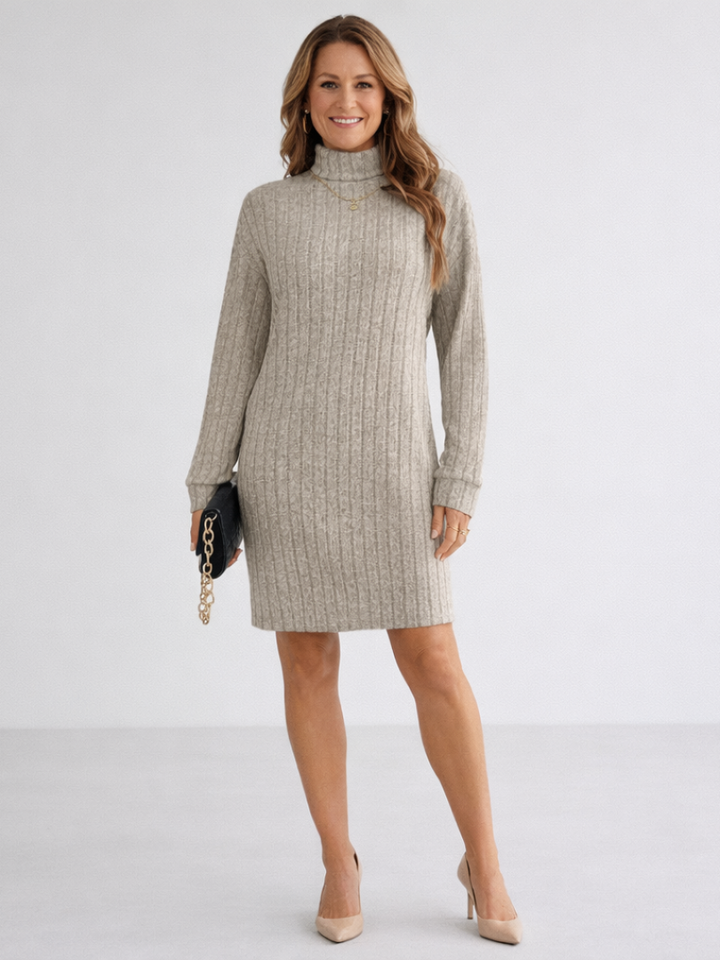 Fabienne Elegant Ribbed Roll Neck Knit Dress
