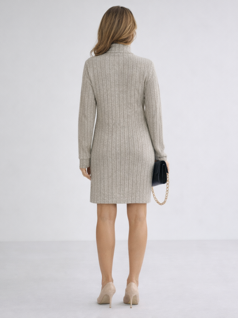 Fabienne Elegant Ribbed Roll Neck Knit Dress - image 3